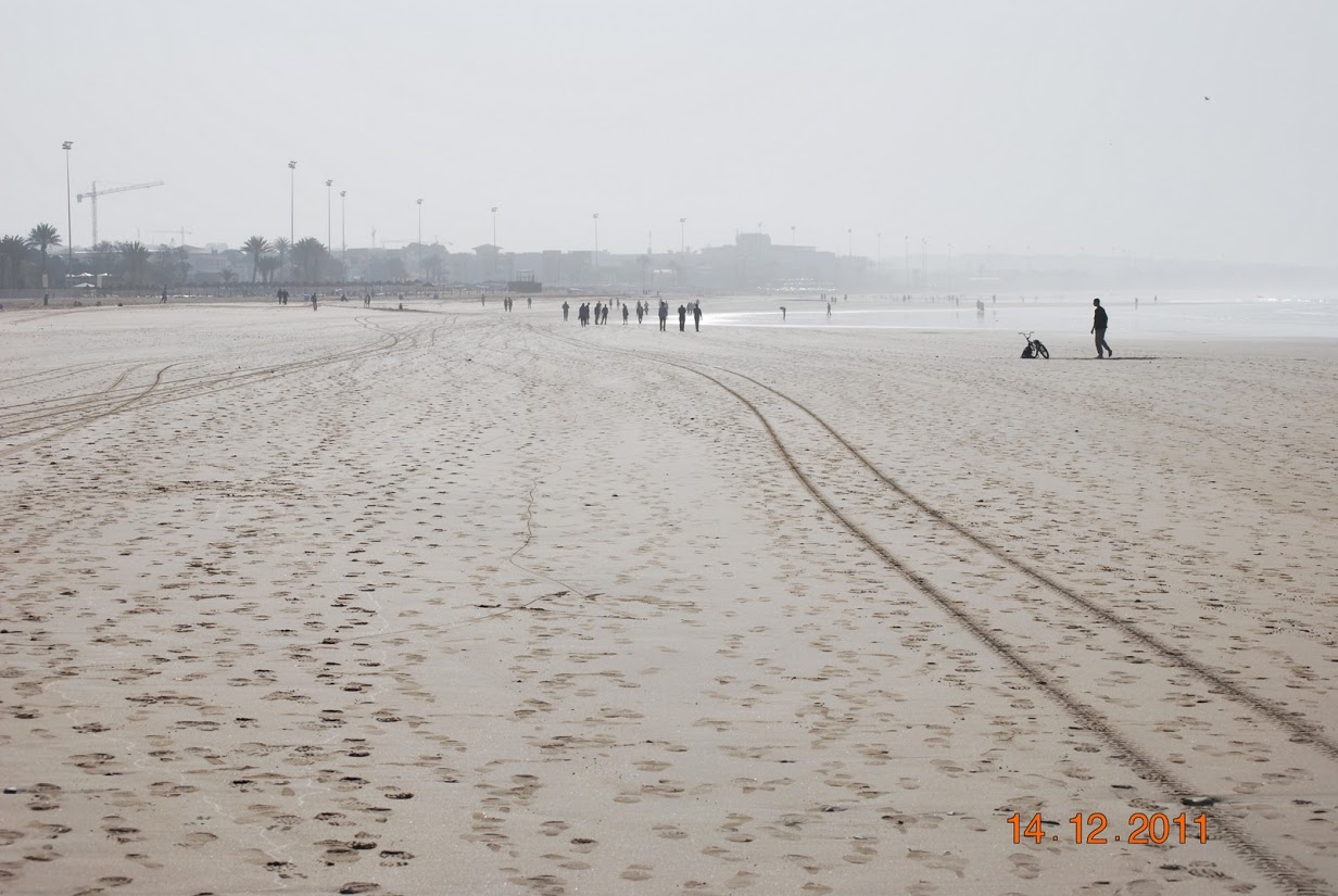 DSC_0398.JPG