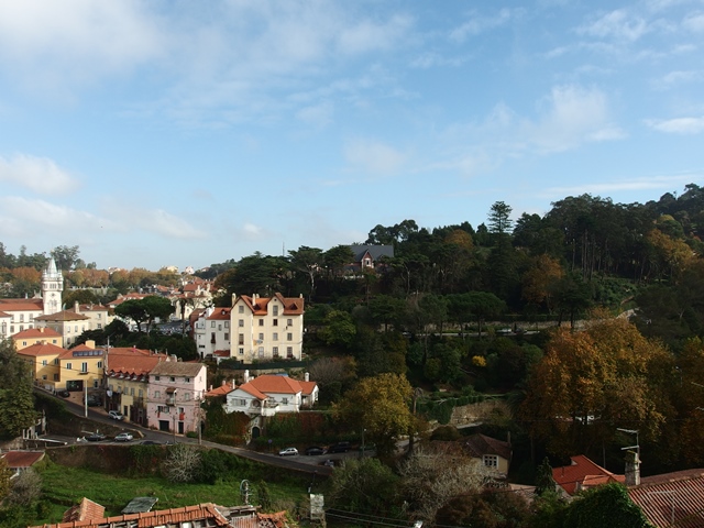 PB240398.JPG