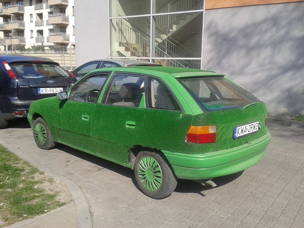 20150422_152922.jpg