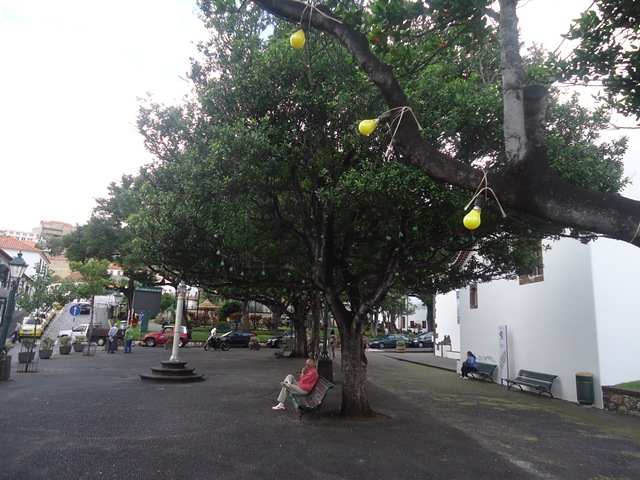 DSC02108.JPG
