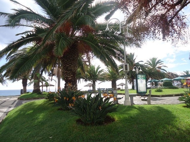 DSC02113.JPG