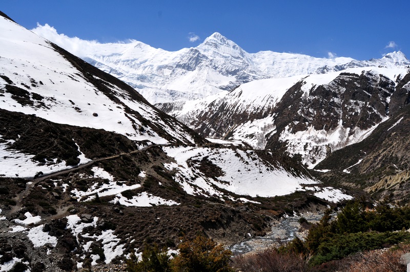 DSC_0545.JPG