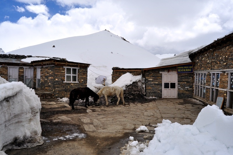DSC_0654.JPG