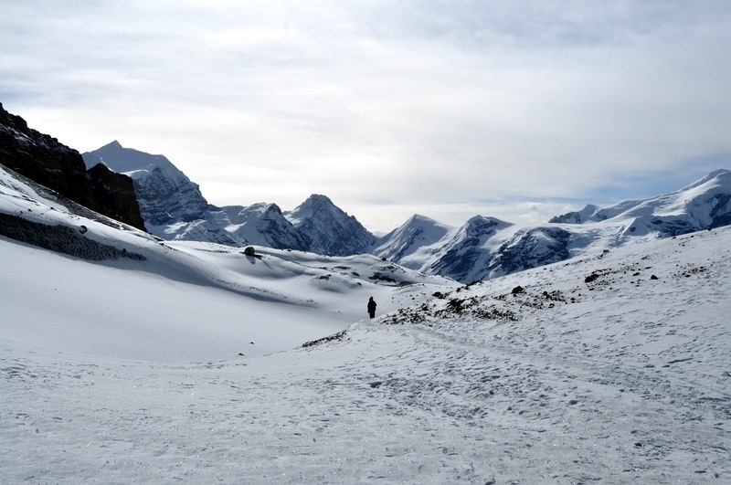 DSC_0695.JPG