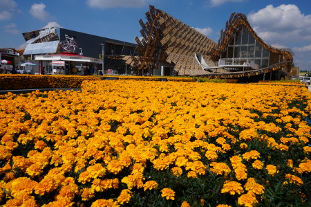 expo_citybreak_22.JPG