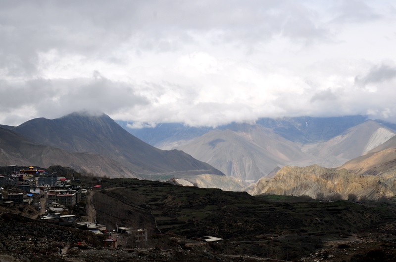 DSC_0812.JPG