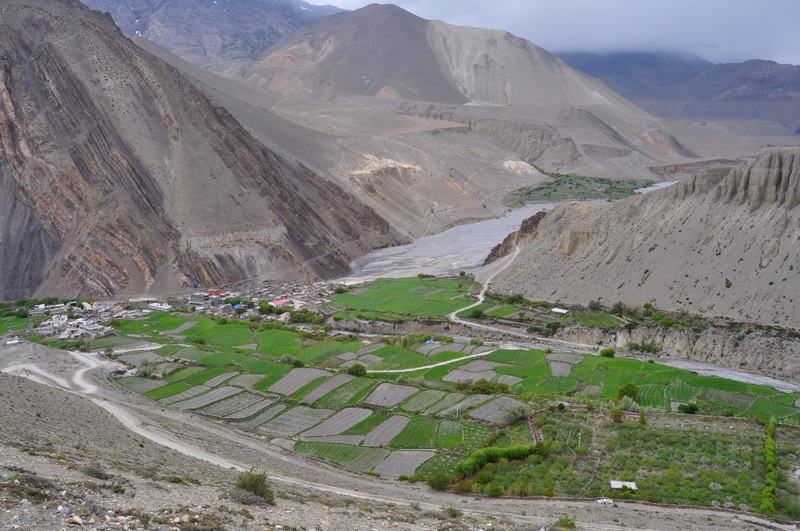 DSC_0905.JPG