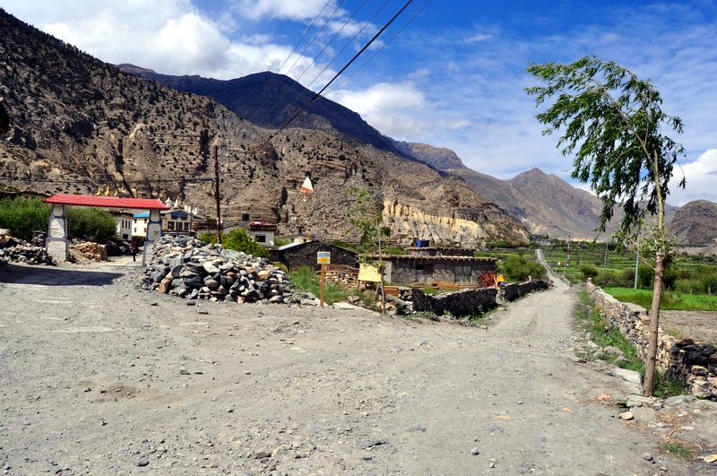 DSC_0927.JPG
