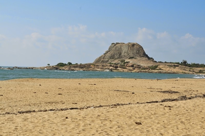 DSC_0049.JPG