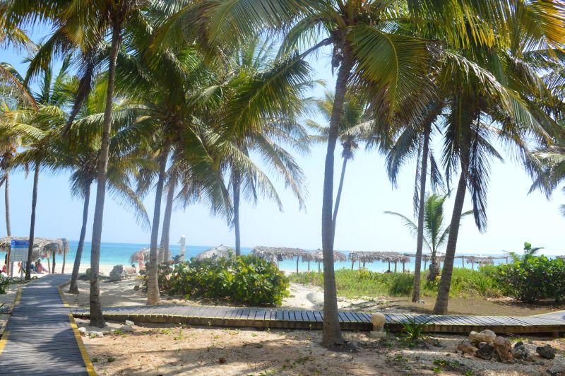 DSC_0308.JPG