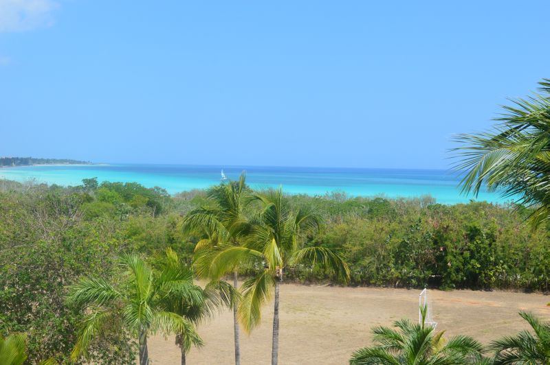 DSC_0314.JPG