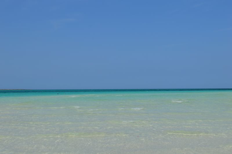 DSC_0436.JPG