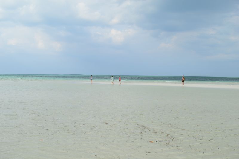 DSC_0552.JPG