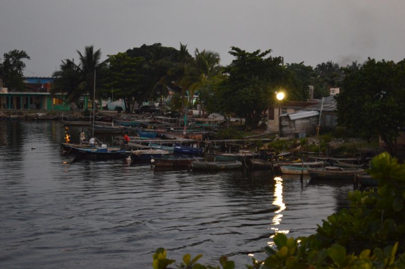 DSC_0835.JPG
