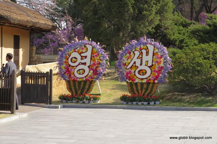IMG_7169_resize.JPG