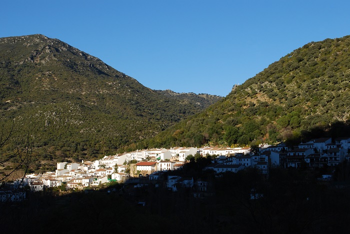 el bosque.jpg