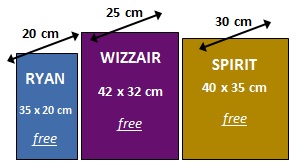 smallbag.jpg