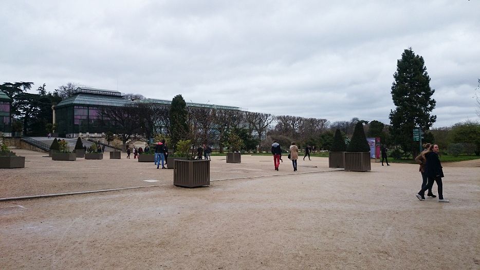 DSC_0109.JPG