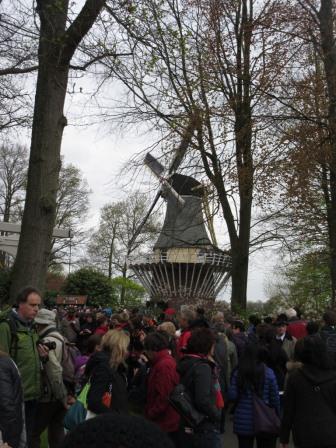 tłum1.JPG