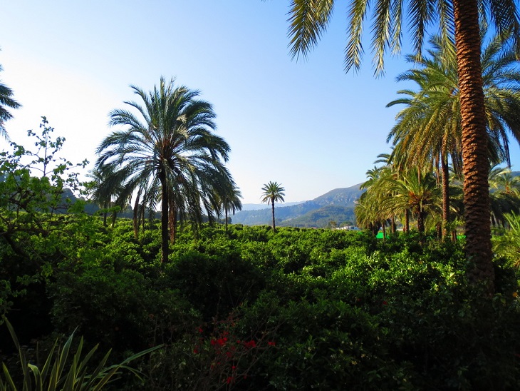 IMG_3310 barra2_resize.JPG