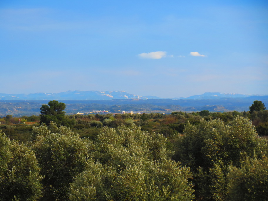 IMG_3183 pejz teru_resize.JPG