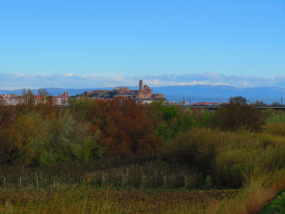 IMG_3173 lleida_resize.JPG
