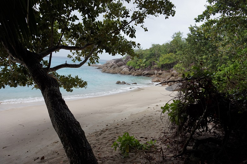 Anse Major 4.JPG