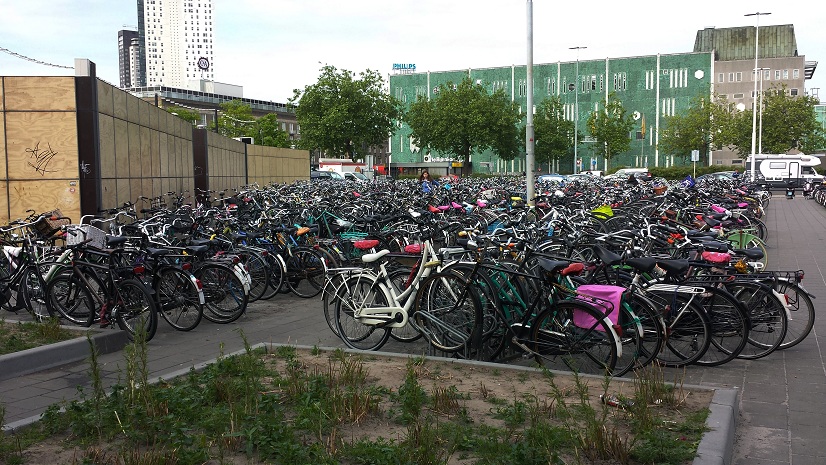 3f.jpg