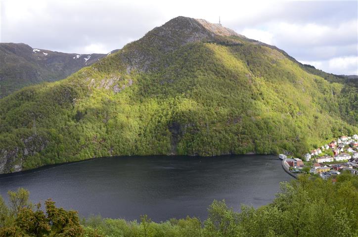 20150601173023.JPG