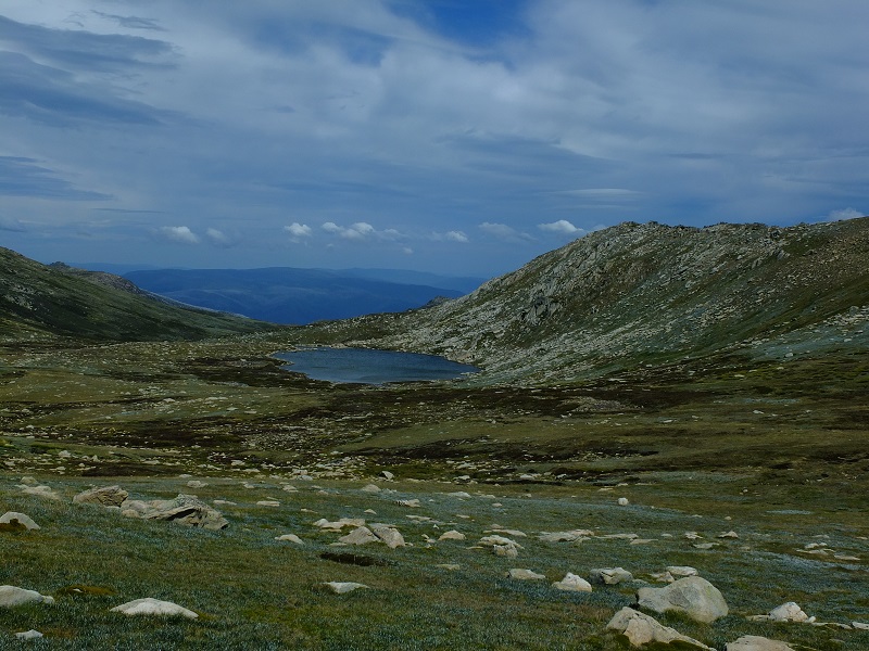 DSCF1716a.jpg