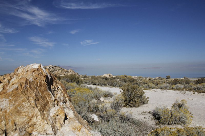 antelope island2.jpg