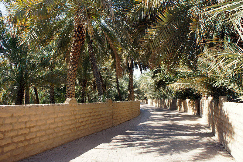 al_ain_oasis.jpg