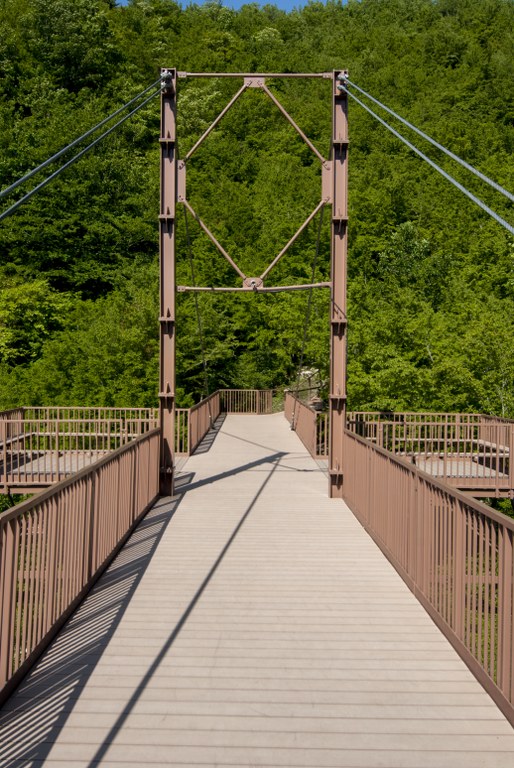 DSC_0245_514x768.jpg