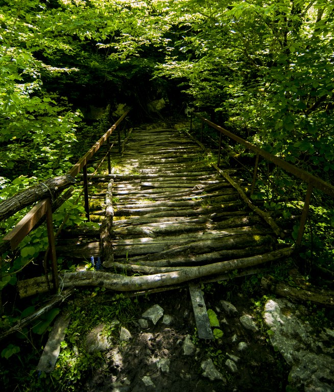 DSC_0275a_654x768.jpg