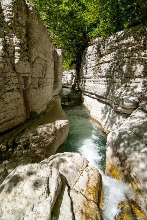 DSC_0320_514x768.jpg