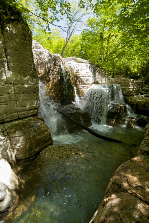 DSC_0321_514x768.jpg