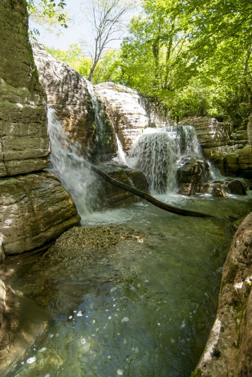 DSC_0322_514x768.jpg