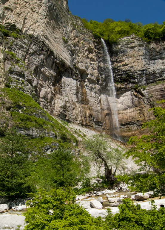 DSC_0339_553x768.jpg