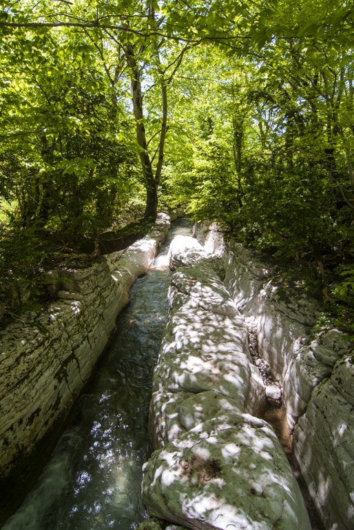 DSC_0346_514x768.jpg