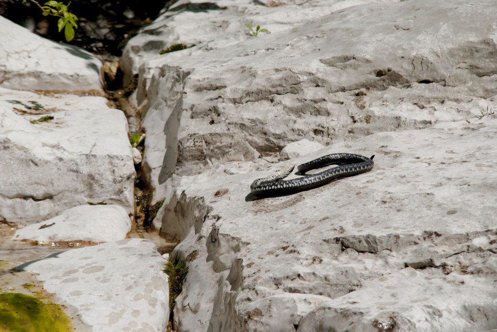 DSC_0361_1024x685.jpg