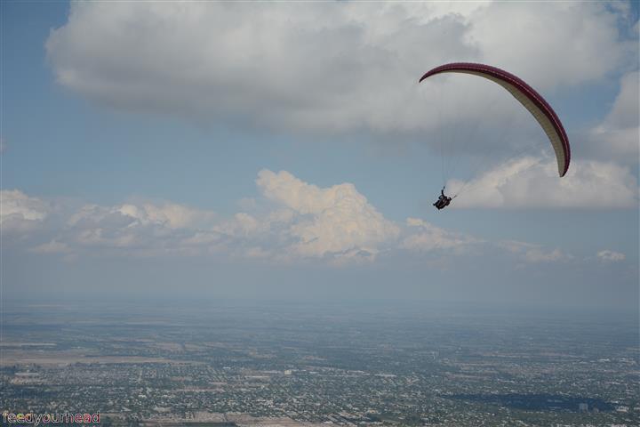 DSC_4529 (Small).JPG