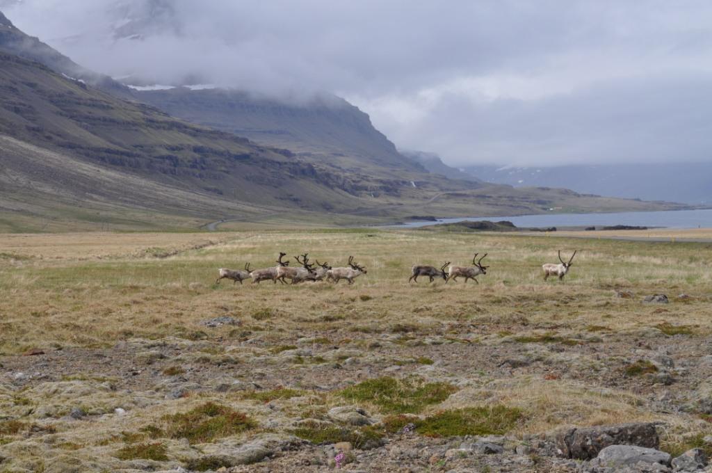 DSC_3480.JPG