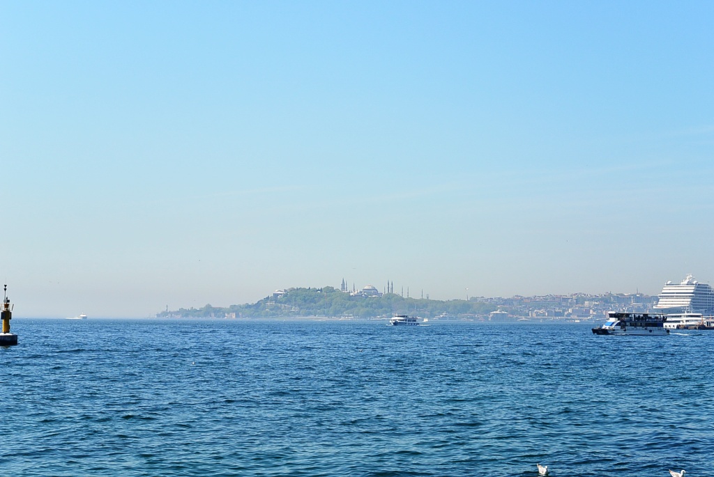 DSC_4344.JPG