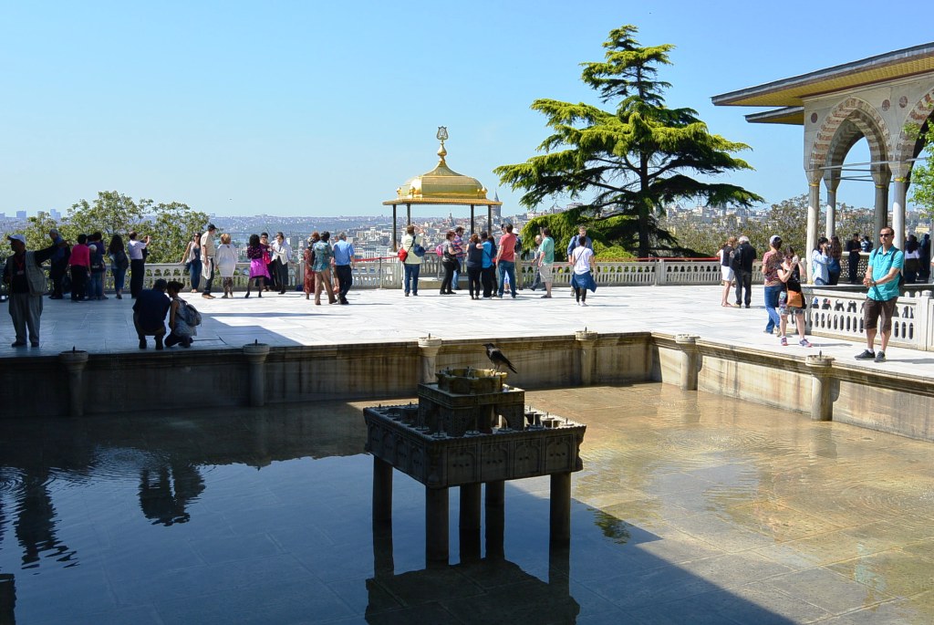 DSC_4396.JPG