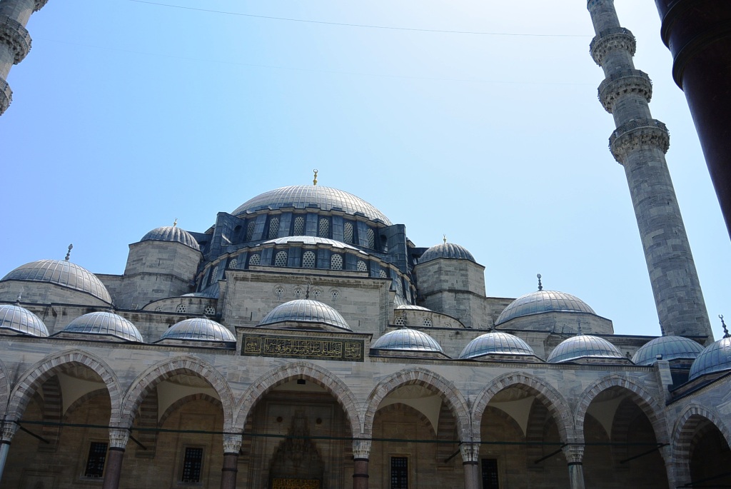 DSC_4773.JPG