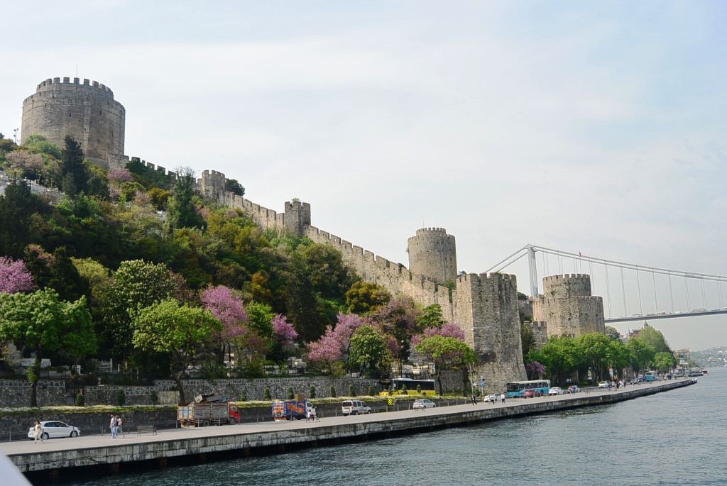 DSC_4854.JPG