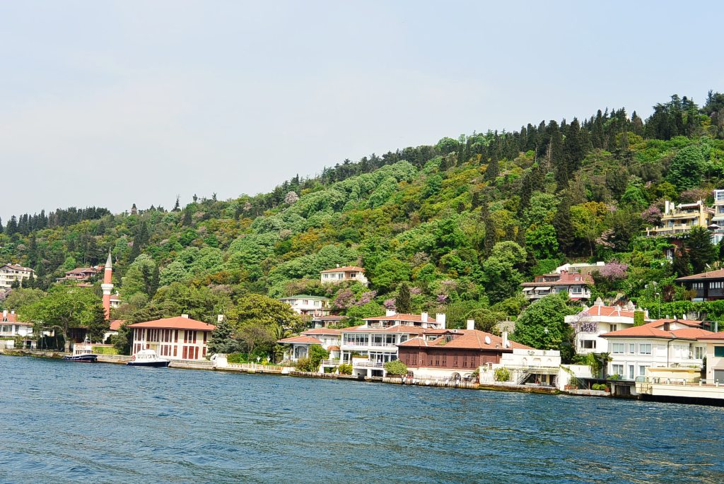 DSC_4860.JPG