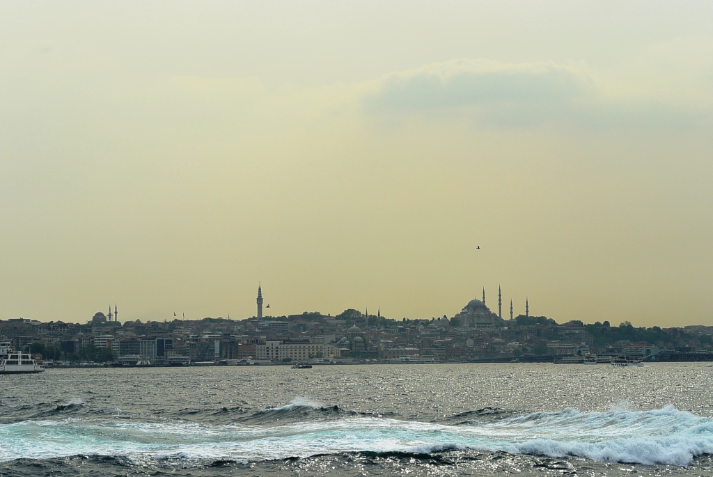 DSC_4884.JPG