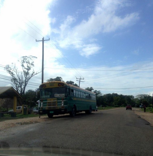 bus_591x600.jpg