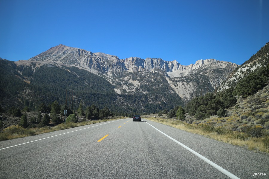 IMG_4787.JPG